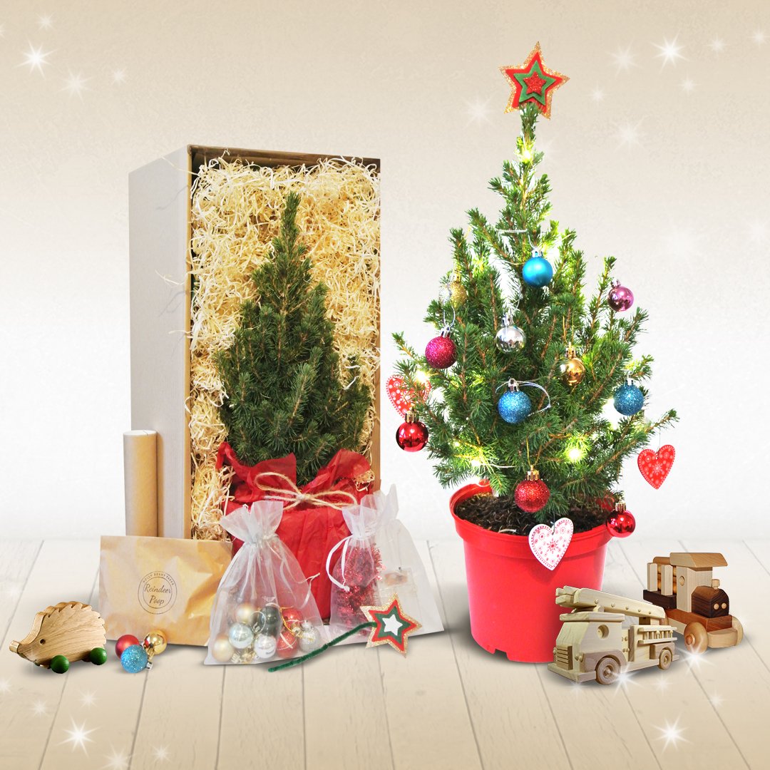 Holly Berry Trees Mini Sustainable Christmas Tree Post