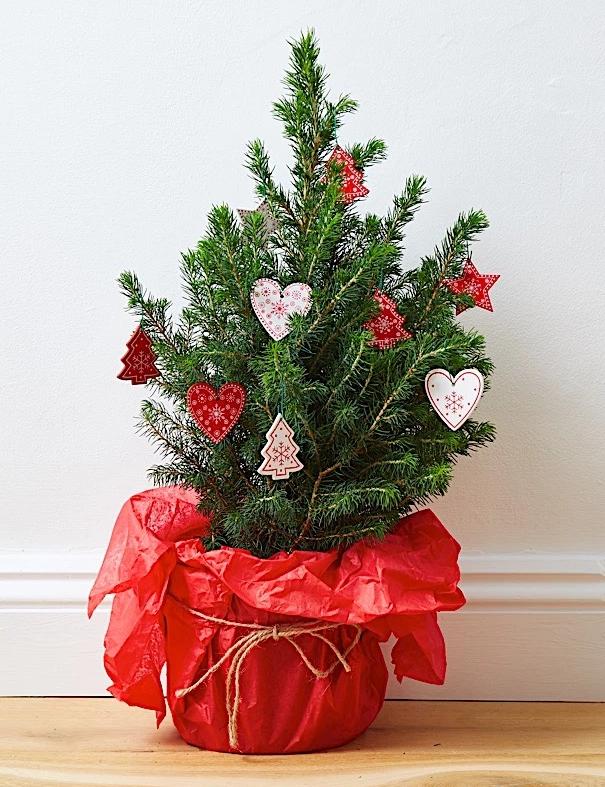 Tree & Nordic, wooden style decorations